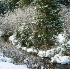 2Fresh Snow on Montana Creek - ID: 1623483 © Larry J. Citra