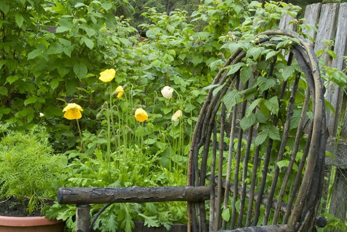 A Quiet Place in the Garden - ID: 1623488 © Larry J. Citra