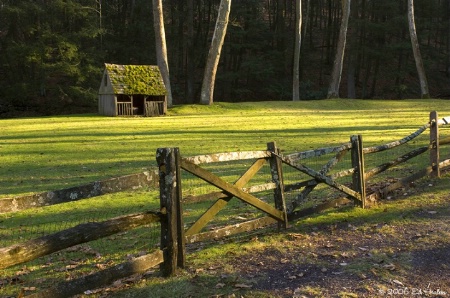 Cuttalossa Farm 