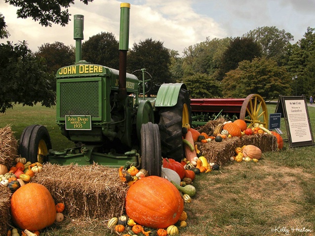 John Deer Tractor and Pumpkins