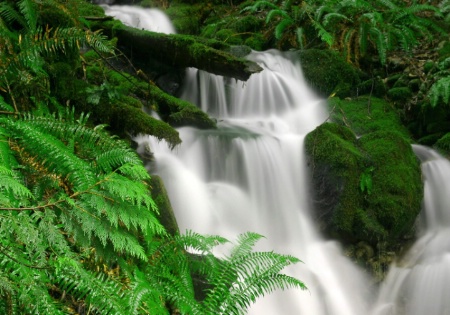 Mossy Rock Falls