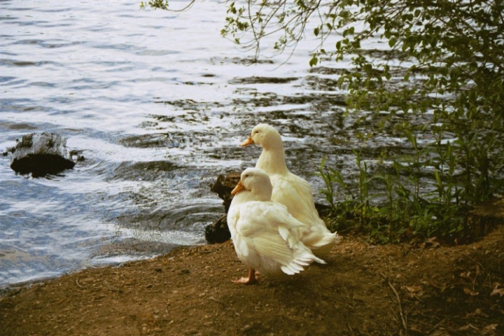 img2