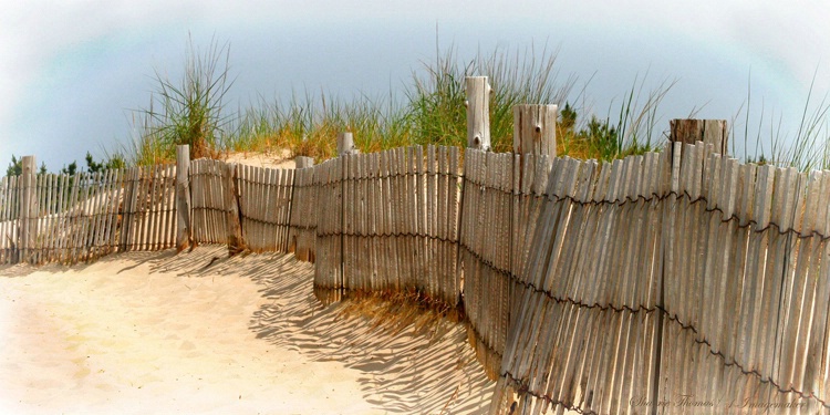 Follow The Fence To The Ocean