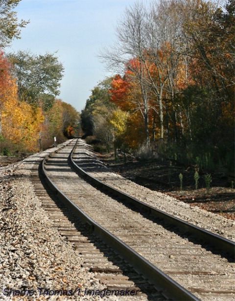 Railway Into Autumn