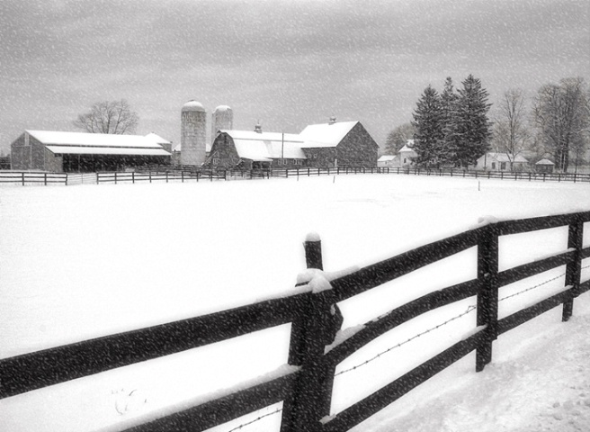 January Snow