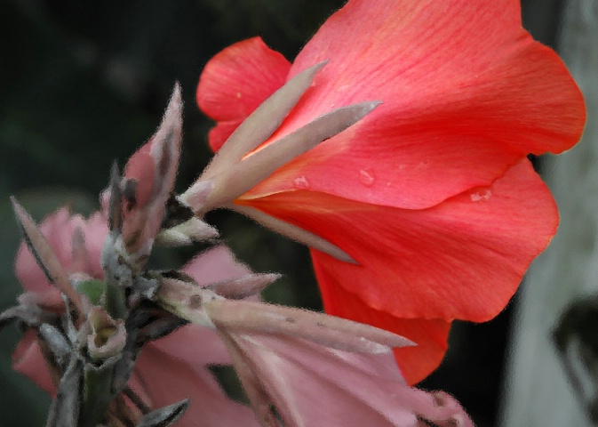 A Glassic Flower