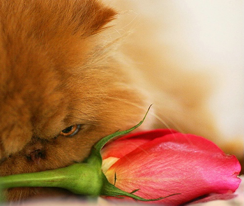 Stopping To Smell The Flower..before eating it