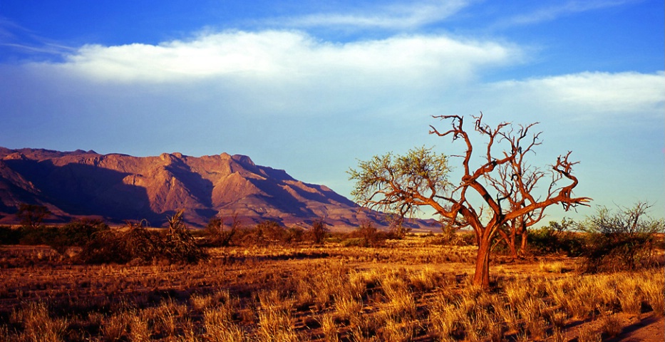 Brandberg from Messum River, Namibia