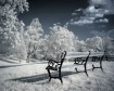 Tranquility in Bl...