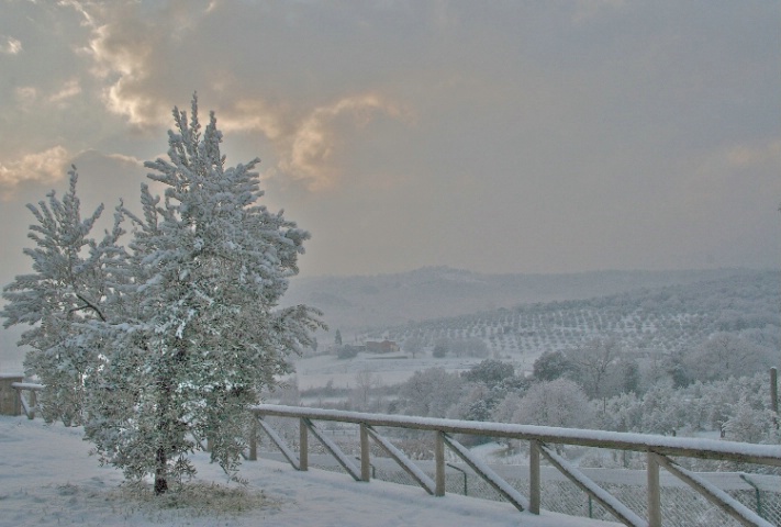Blizzard in Tuscany