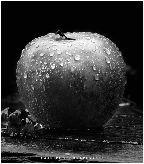 apple in the rain