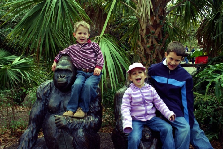My Little Monkeys @ the Audubon Zoo