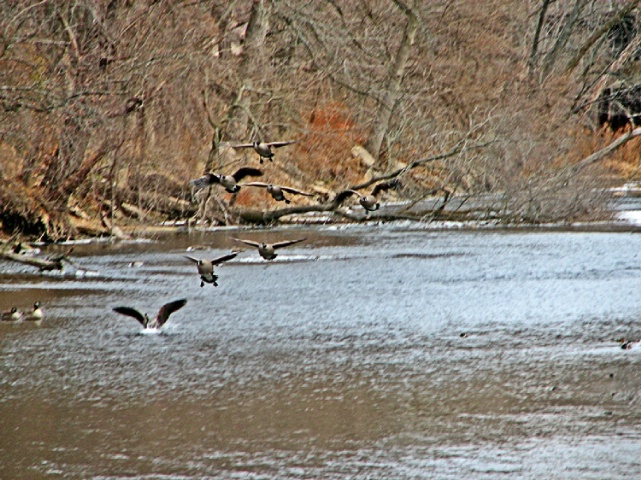 Winter on the River