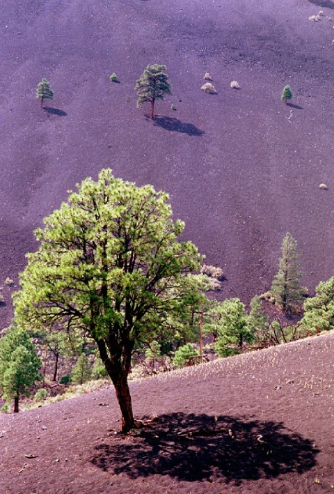 Sunset Crater 2