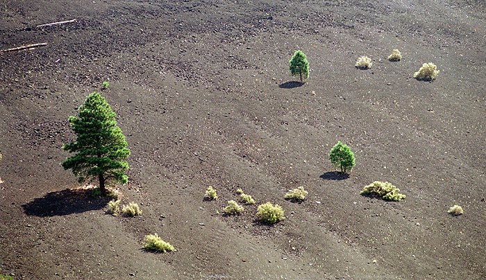 Sunset Crater 5