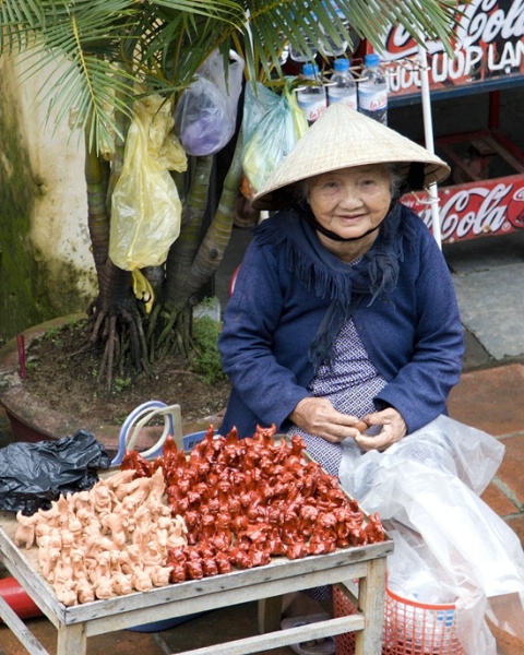 Vietnamese Woman - Hoi An, Vietnam