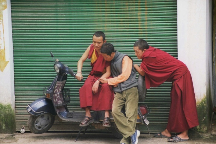 India - Tiberan Monks in Dharamasala