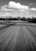 Road out of Town