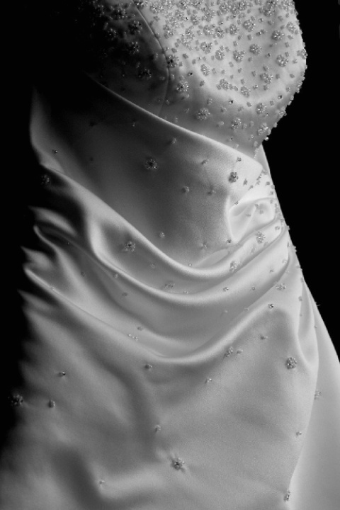 ~ Robin's Wedding Dress ~
