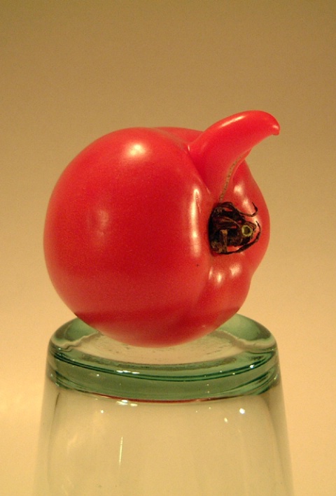 The Viagra tomato