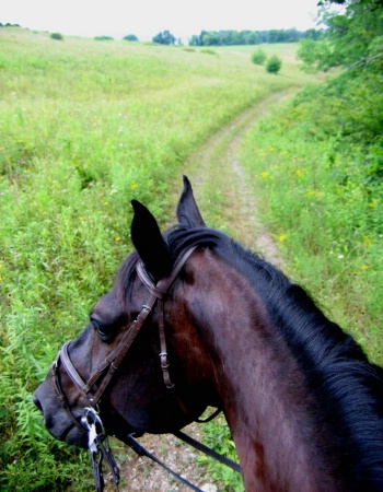 Trail Ride