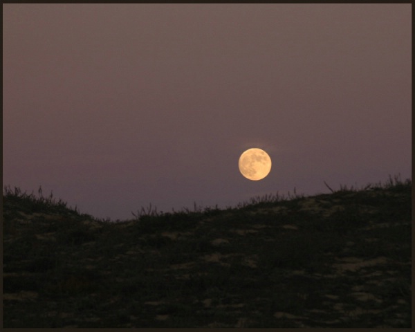 Moon Rise