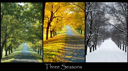 Summer, to Autumn, to Winter
