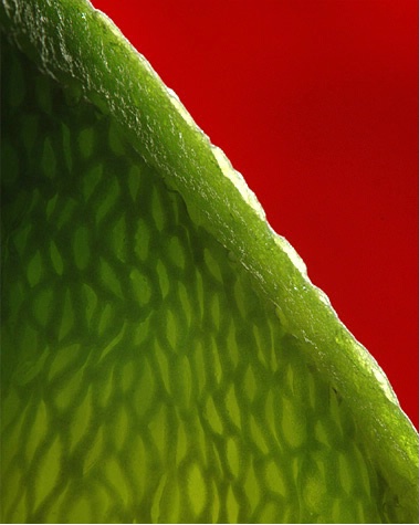 Backlighting Study No. 1 - slide of green pepper