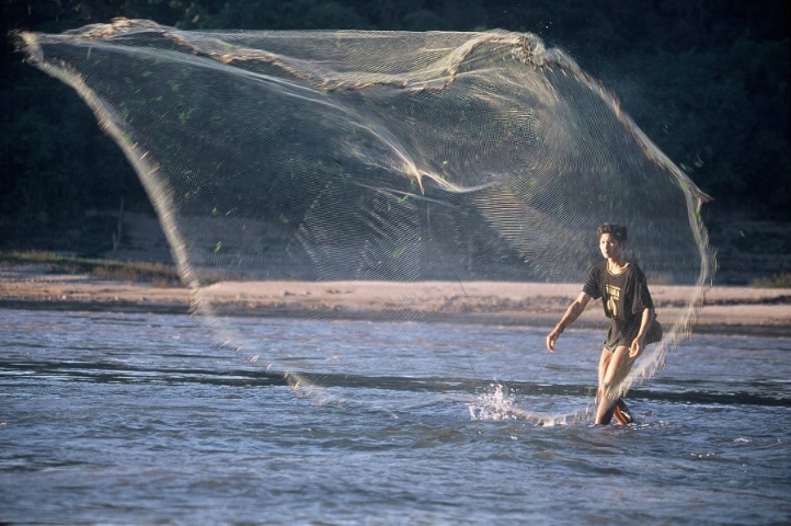 Fisherman Casts His Net