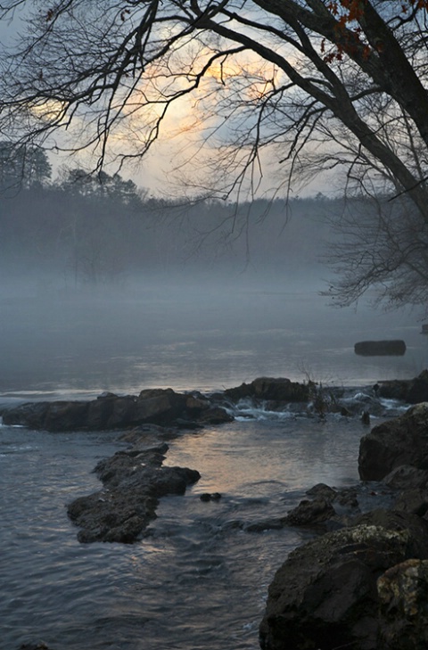 Ouachita River Low Fog