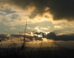 Sunshine Throught...