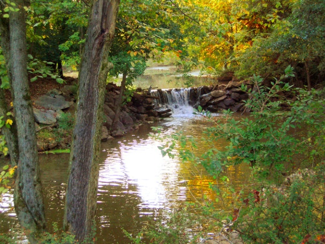 Rivulet Between Two Ponds