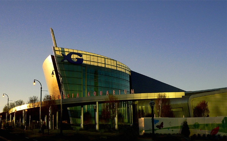 Georgia Aquarium