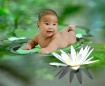 Baby On Leaf