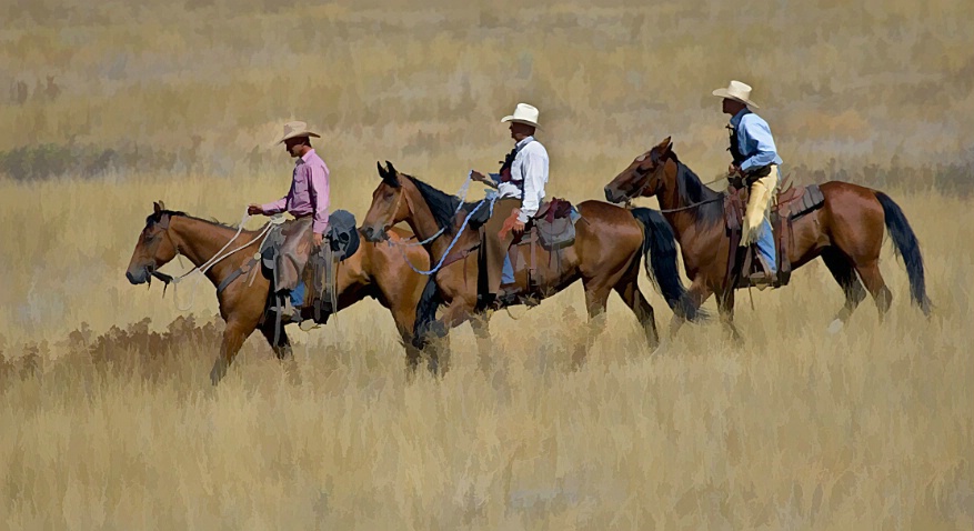 3 Horsemen - ID: 1719670 © Jim Kinnunen