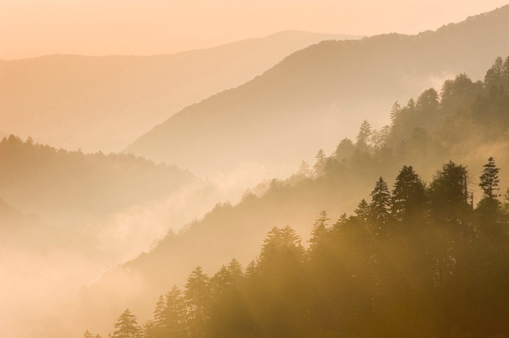 The Great Smoky Mountains, TN