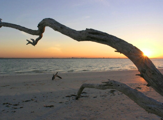 Sunrise at Driftwood Beach