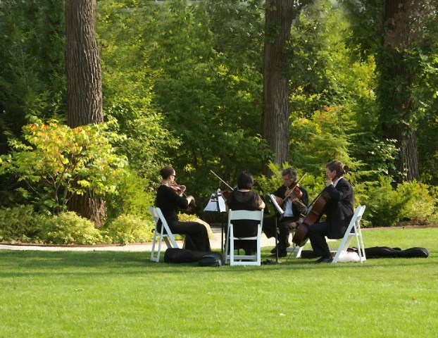 String Quartet in the Park