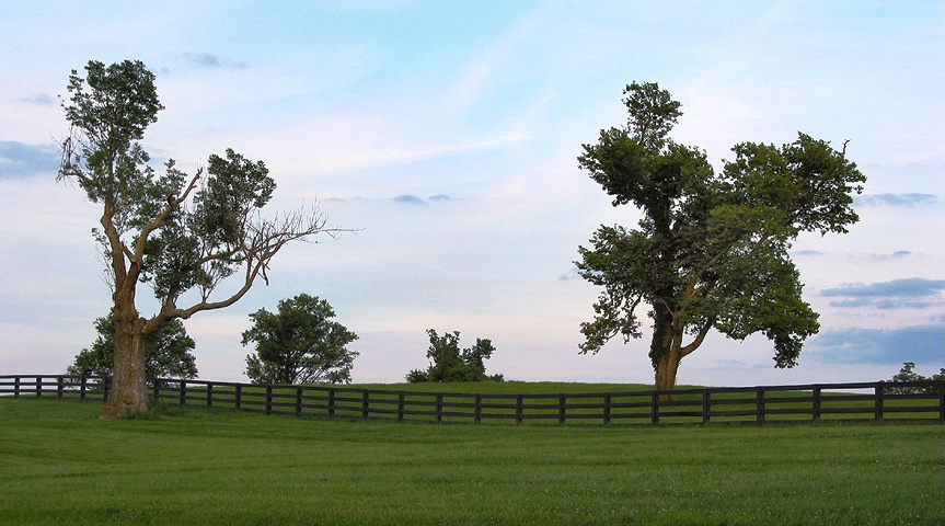 Both Sides Of The Fence