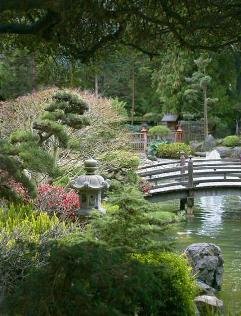 Japanese Tea Garden