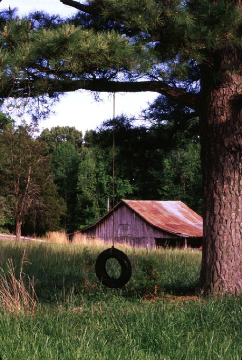 Country Tire Swing