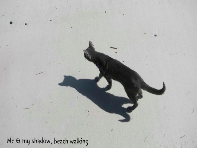 Me & my shadow, beach walking