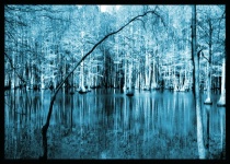 Nature/Landscapes