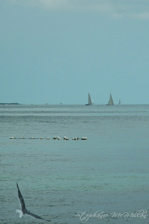 Bahamian Sailboats Out to Sea