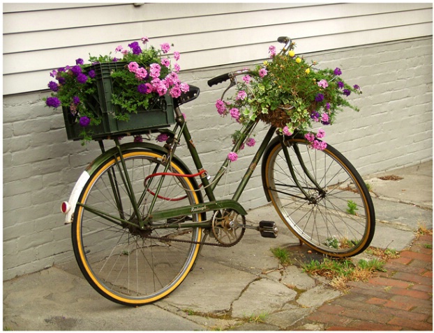 Nantucket Bicycle #125 - ID: 1744225 © Timlyn W. Vaughan