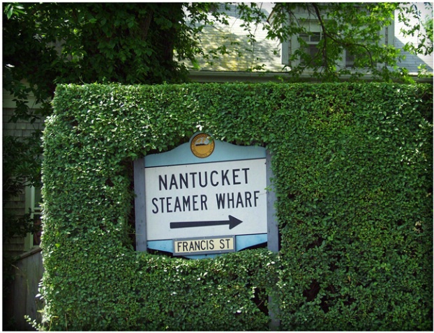 Nantucket Hedge Sign #207 - ID: 1744317 © Timlyn W. Vaughan