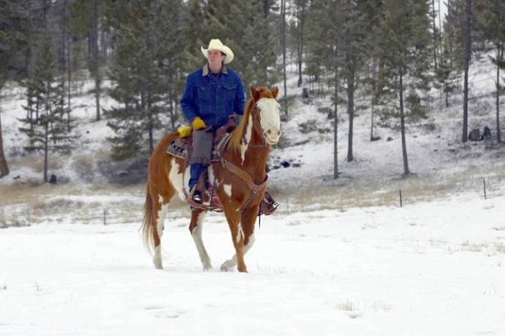 Cowboy and His Friend