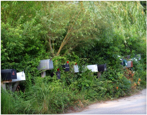 Island Mailboxes #112 - ID: 1748273 © Timlyn W. Vaughan