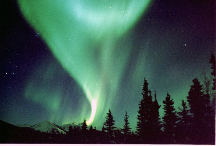Northern Lights Denali National Park Alaska