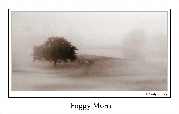 Foggy Morn